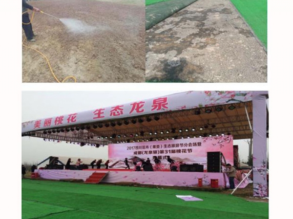 四川.成都——龍泉驛某觀光場(chǎng)地草坪固化